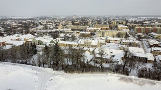 Narva linn - city in Estonia