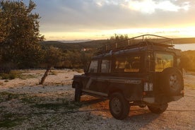 Raccolta delle olive su un'isola magica di Brac con professionisti locali