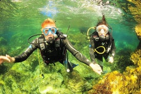 Bautismo de buceo en Ibiza