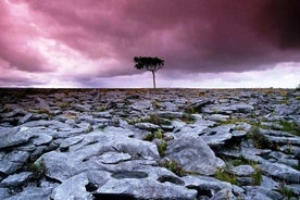 Promenade dans le parc national du Burren Clare. Guidé. 4 heures.