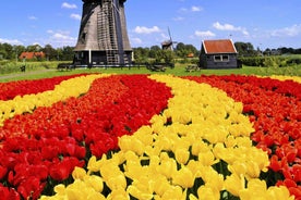 Amsterdam: Keukenhof og Tulip Fields Einkadagferð