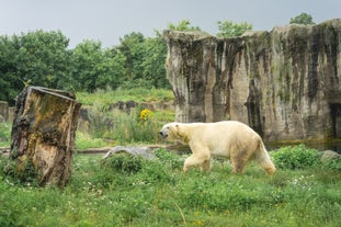 Diergaarde Blijdorp