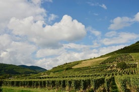 Private day trip from Basel to Alsace Wine Region, local driver