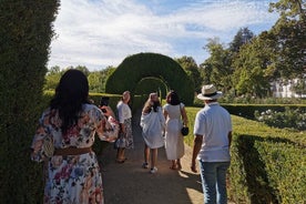 Visite du Palais de Mateus et du Douro