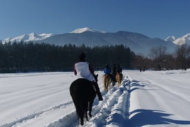 Paardrijervaring vanuit Bansko