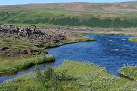 Smågruppetur for å oppdage Island