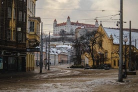 Tour guidato della città e del castello da Bratislava