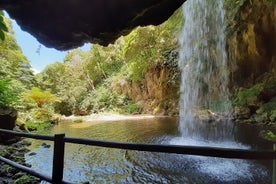 Halve dagwandeling Watervallen Moinho do Felix met theeplantage