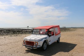 viaggio su strada retrò / Méhari, 2CV e Burton a Rochefort, La Rochelle