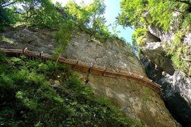 Pokljuka-Schlucht Halbtageswanderung von Bled aus