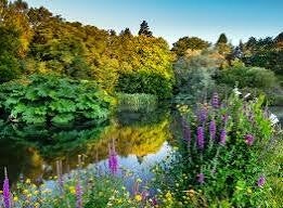 photo of John F Kennedy Arboretum .