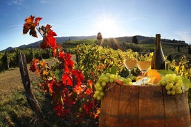 Bella Toscana Yksityinen kiertue: San Gimignano ja 2 viinitilaa Chianti, SuperToscanan viini