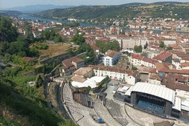 Tour privato di Arles