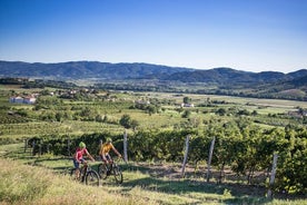 Viñedos secretos en bicicleta.