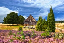 Chambres d'hôtes à Heide, Allemagne