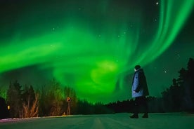 From Rovaniemi: Lapland Aurora Hunt with Barbeque