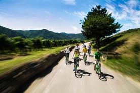 Excursão de bicicleta com degustação de vinhos no Vale de Wachau, saindo de Viena