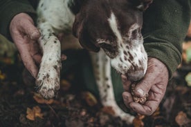 Caccia al tartufo 