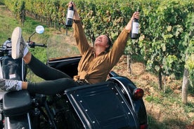 Guidet vingårdstur med vinsmaking i Saint-Émilion