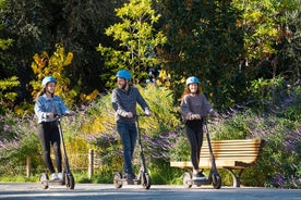 Alquiler de Patinetes Eléctricos Nice - Alta gama