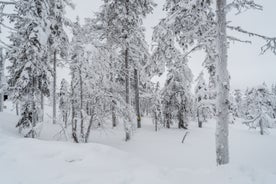 Rovaniemi Finland, panorama of the city with Kemijoki river in the back and Ounasvaara fell with the city heart at the left.
