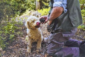 Chance et patience: chasse aux truffes en Toscane