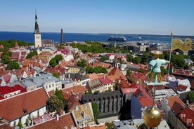 Tallinn: Medieval Walking Tour