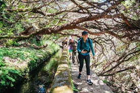 Madeira: Enjoy a Guided Levada Walk in the Rabaçal Valley