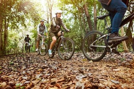 Private "Camino de Santiago" (The Way Of St. James) BY BIKE from Leon