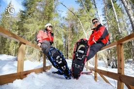 Sneeuwschoenwandelen in de wildernis van Lapland