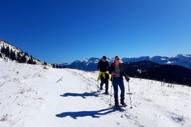 Diversión con raquetas de nieve en Kosovo