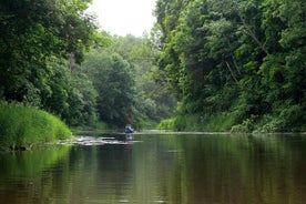 Canoa e passeggiate nel parco nazionale di Soomaa