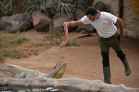 Adgangsbillet til Cocodrilo Park Zoo i Agüimes