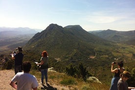 Excursion privée d'une journée aux châteaux de Cucugnan, Quéribus et Peyrepertuse. De Carcassonne.