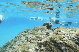 Malta: Snorkeling Tour