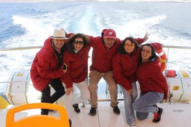 Lobos Island - The dolphin route