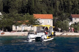 Ilha Vrnik - gato de táxi amarelo