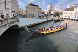 Tour privado de Porto a Lisboa, escolha 2 ou 3 paradas ao longo do caminho