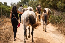 Santuario de Caballos: Un paseo por la naturaleza con Caballos Rescatados a tu lado