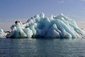 Laguna glaciale e costa meridionale. Tour privato di un giorno