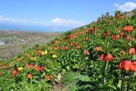 Tour panoramico di 12 giorni della Turchia orientale da Trabzon