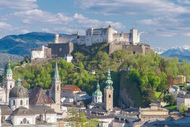 Privat dagstur fra München til Salzburg og tilbage, lokal chauffør