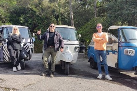 Tuk-Tuk Tour in Sintra Palaces in Cabo da Roca