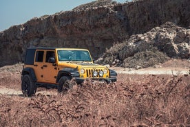 Jeep Safari al Parque Nacional Akamas: tour privado desde Paphos