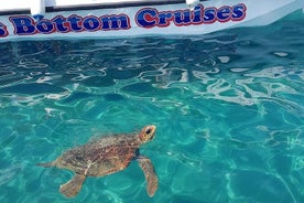 Crucero a la isla de las tortugas y cuevas con un barco con fondo de cristal