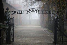 Auschwitz og Krakow fra Warszawa hjerteskjærende tur med henting