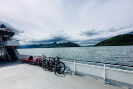 Scenic Bike Tour with a Lake Cruise Adventure