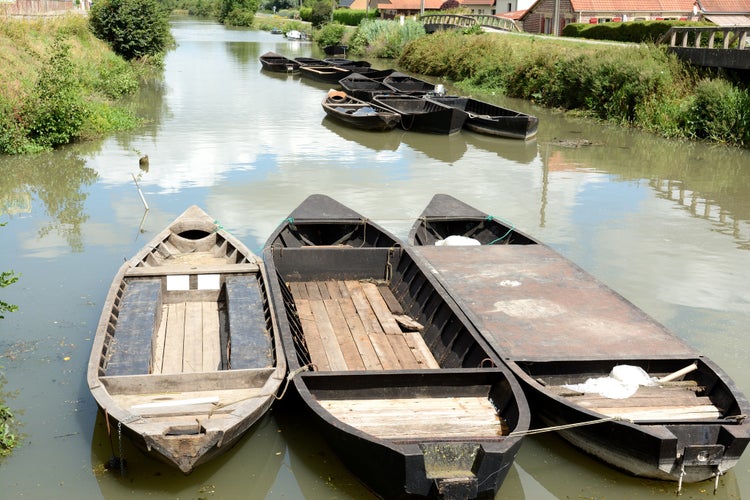 photo of view of In the swamps, several barks named bacove, trees ,water, houses, bridges. Summer, august in the Audomaroi's swamps, St Omer in France.