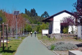 Radfahren Ecopista do Dão One Way, ganztägig von Coimbra