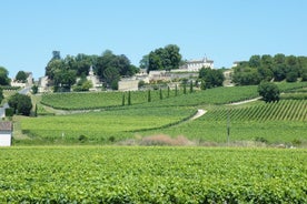 Saint Emilion Wine Tour Tasting Half Day from Bordeaux